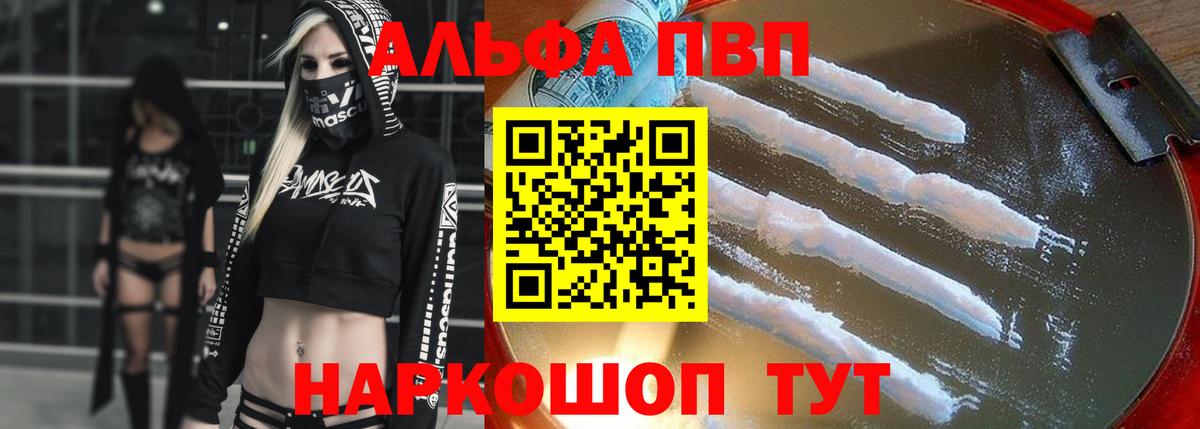 A PVP СК КРИС Оренбург
