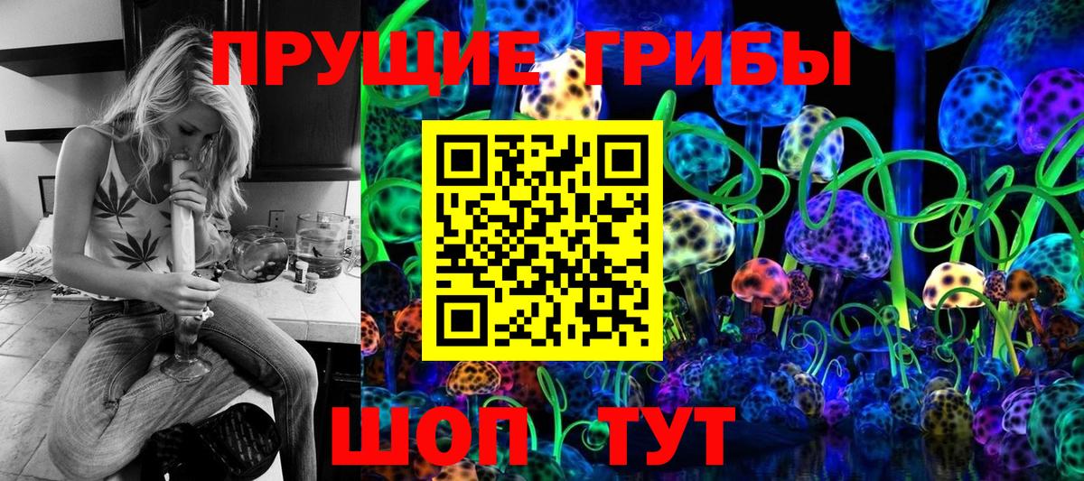 Оренбург  Псилоцибиновые грибы ЛСД  Вход с VPN  Галлюциногенные грибы Psilocybine cubensis 